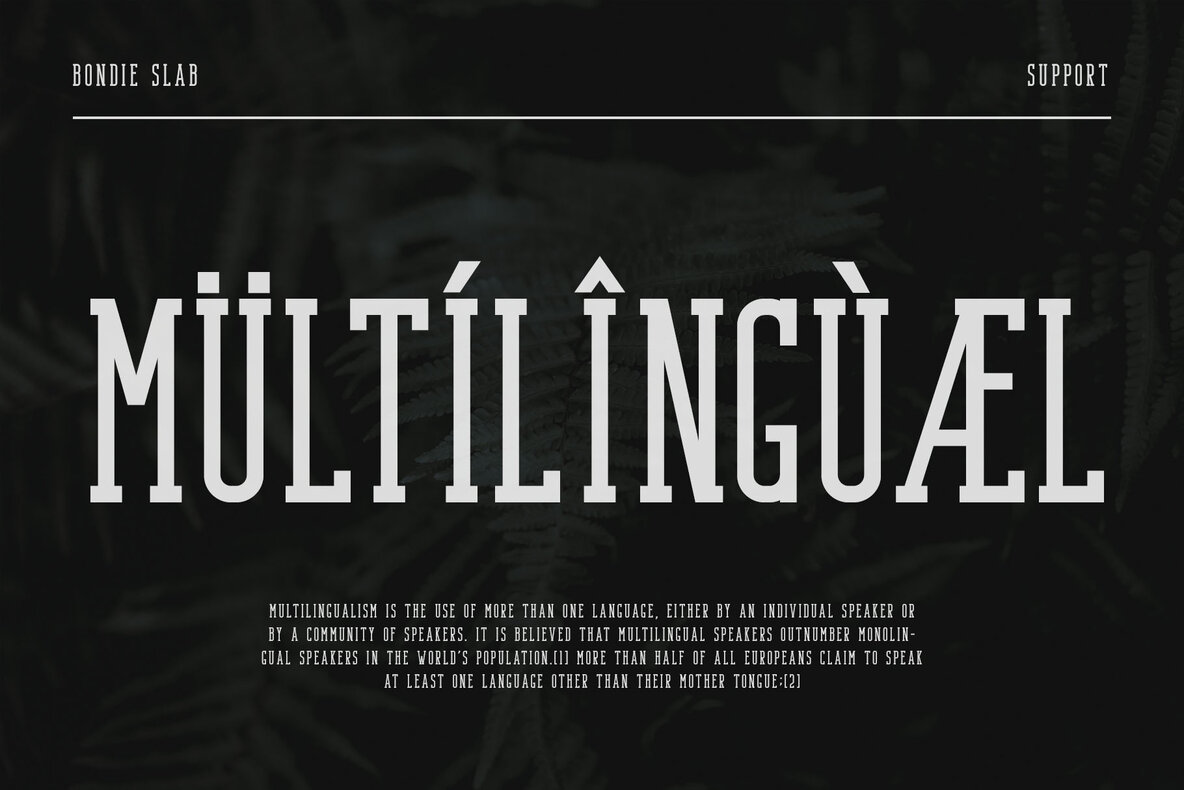 Bondie   Condensed Slab Serif 8