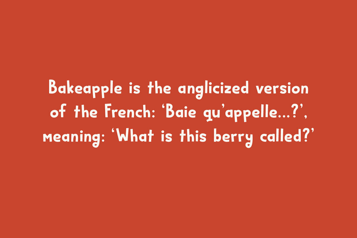Bakeapple Bakeapple