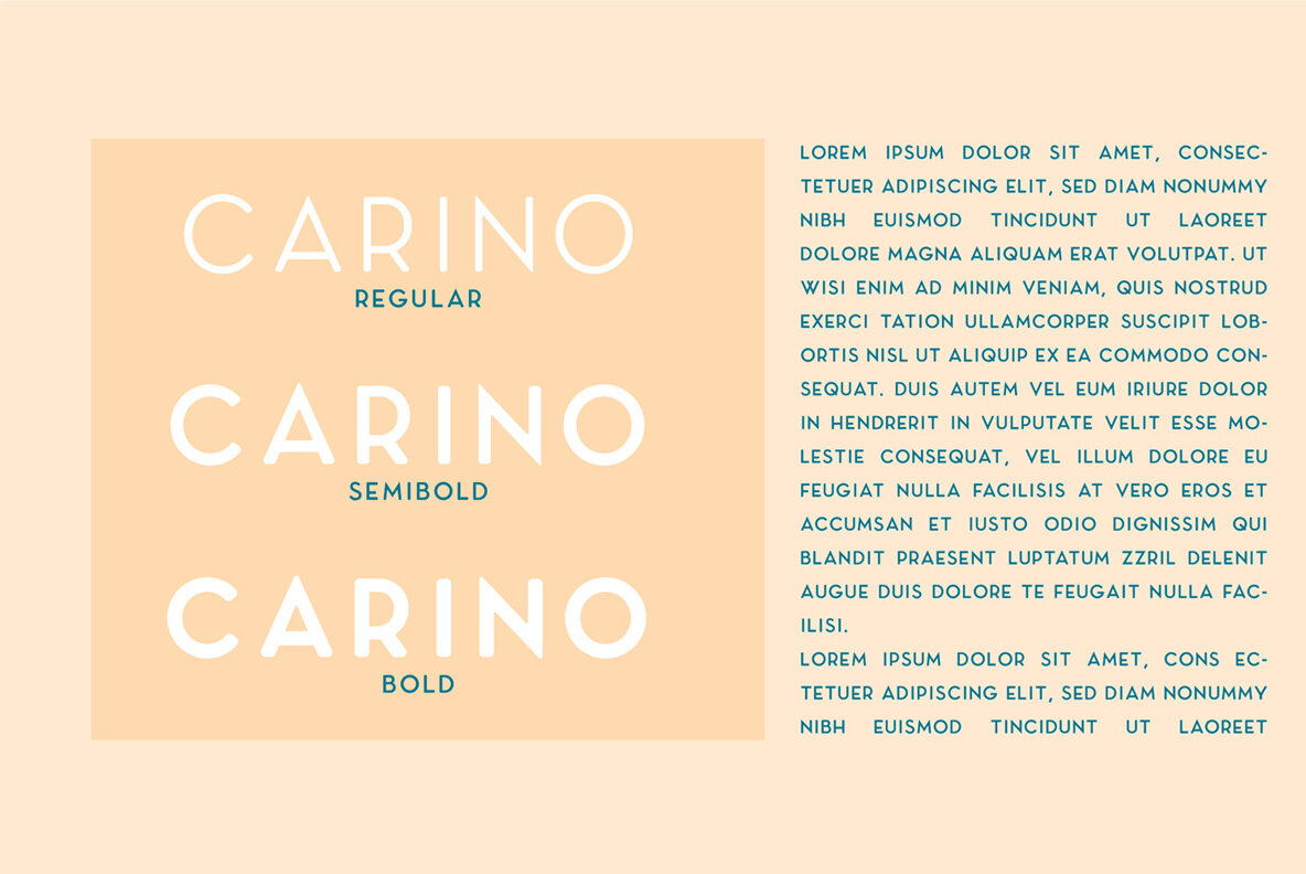 Carino Carino