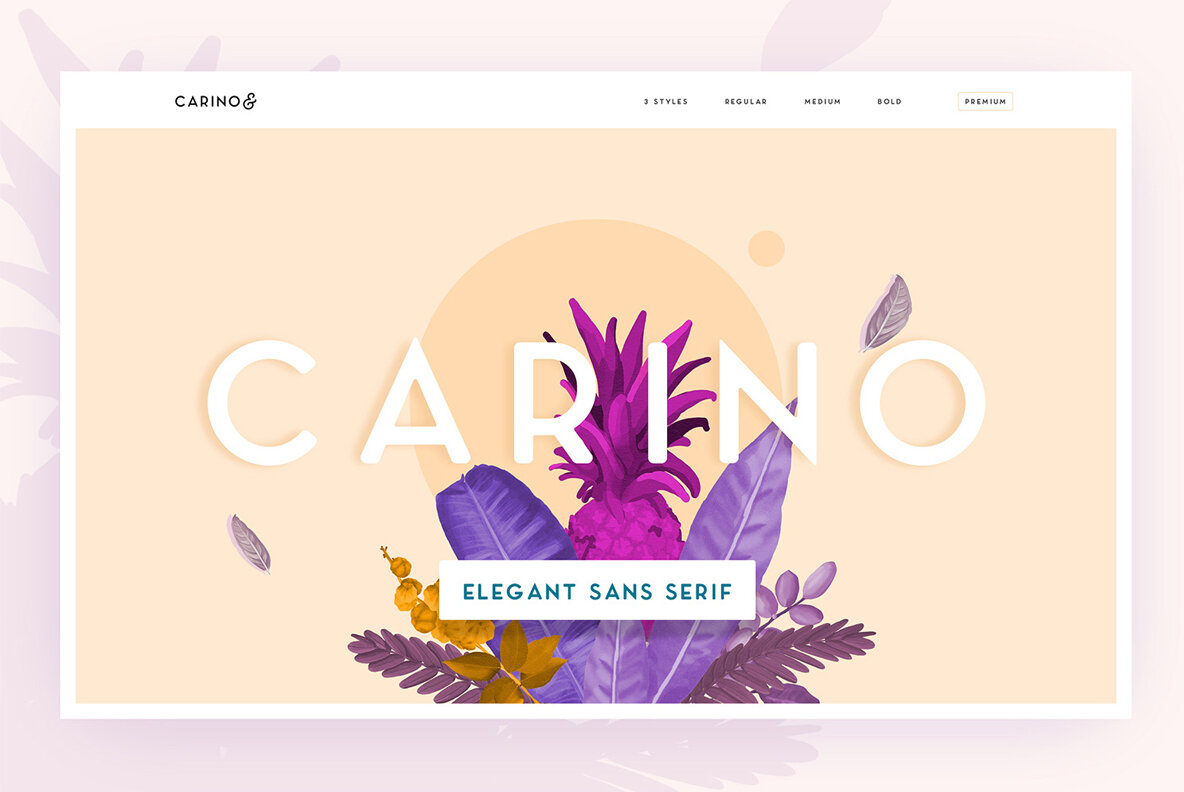 Carino Carino