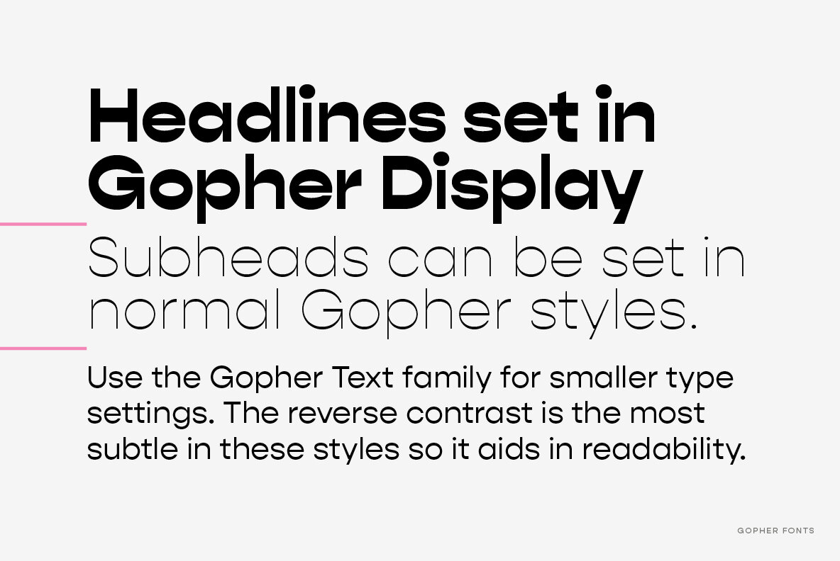 Gopher Gopher