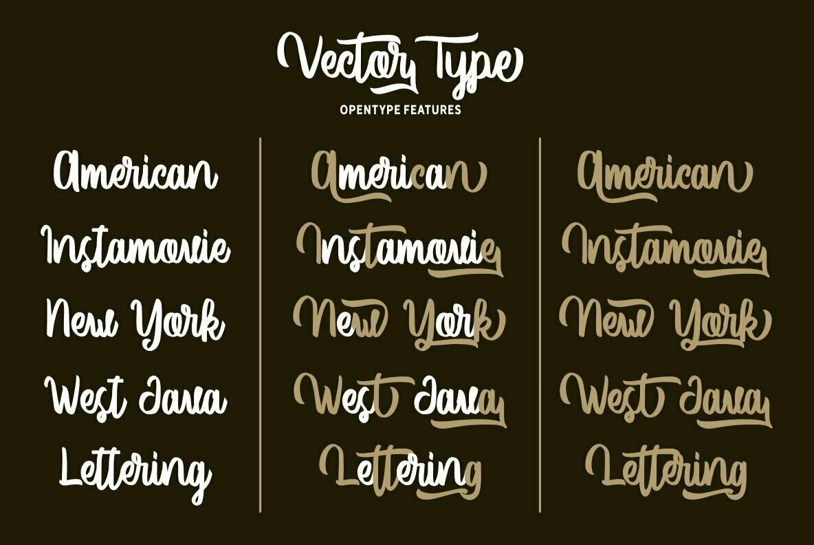 Vector Type