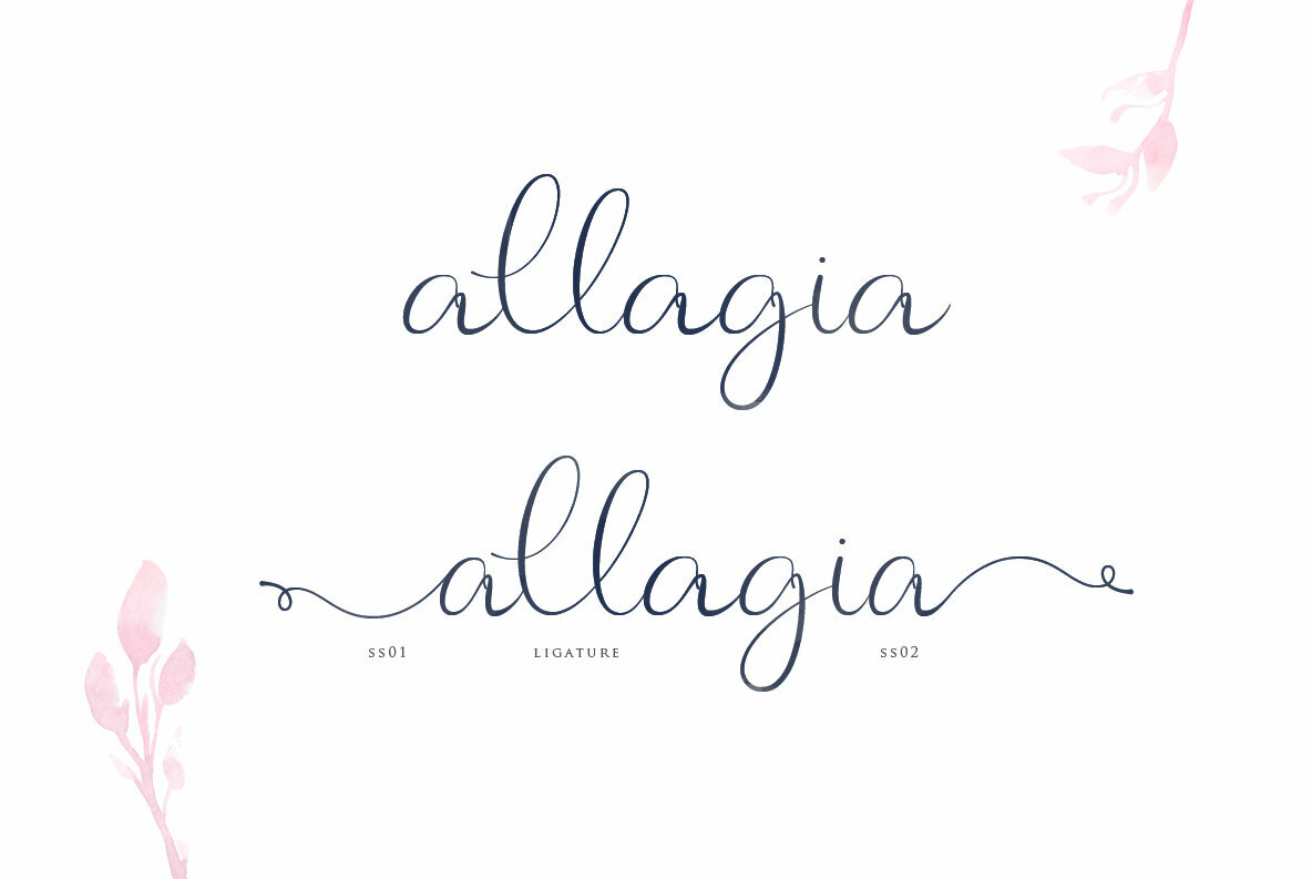 Allagia Allagia