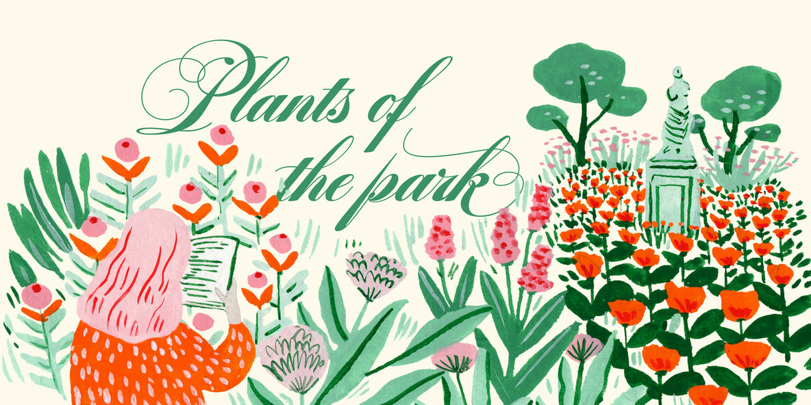 Bibliophile Script 8