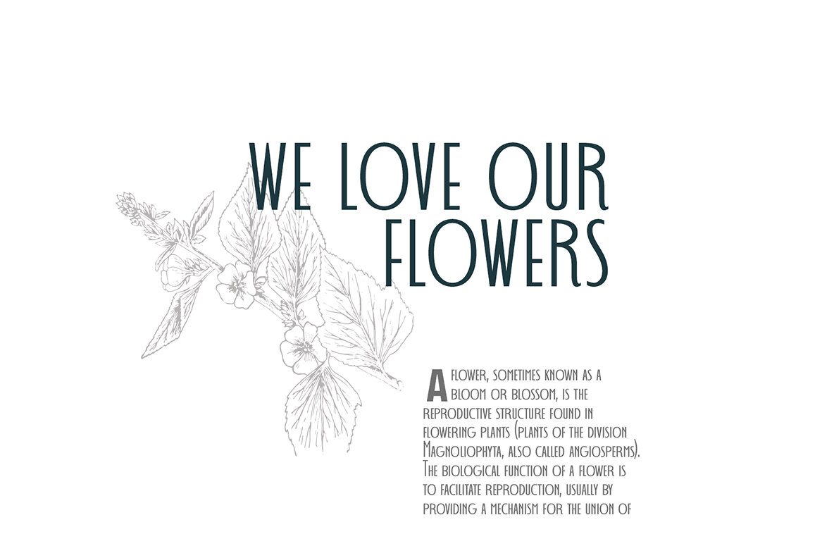 Decohead Typeface Decohead Typeface