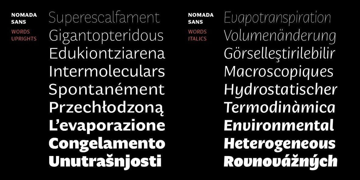 Nomada Sans Nomada Sans