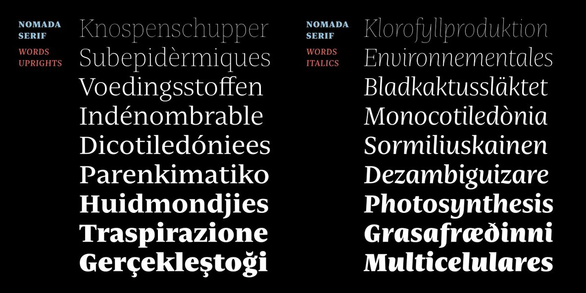Nomada Serif Nomada Serif