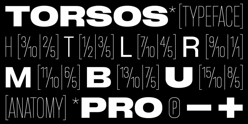 BB Torsos Pro