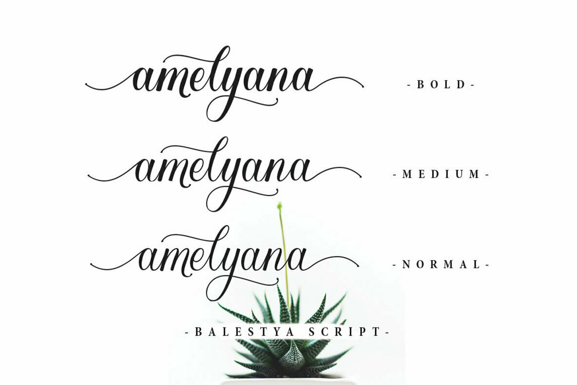 Balestya Script 3