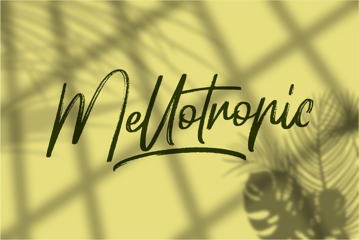 Hellotropica Hellotropica