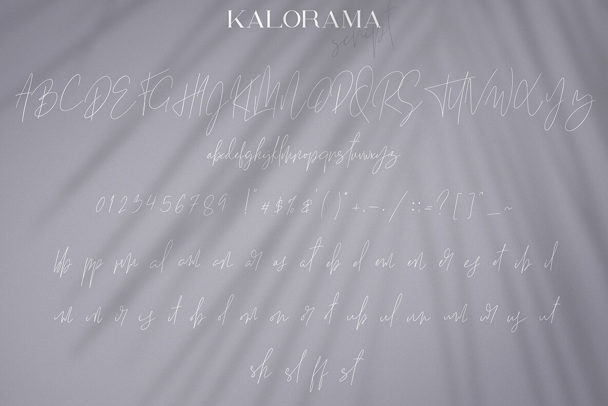 Kalorama Font Duo 9