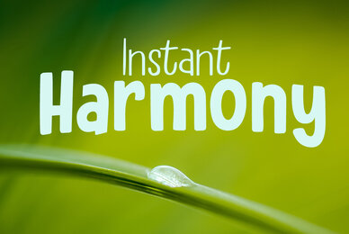 Instant Harmony