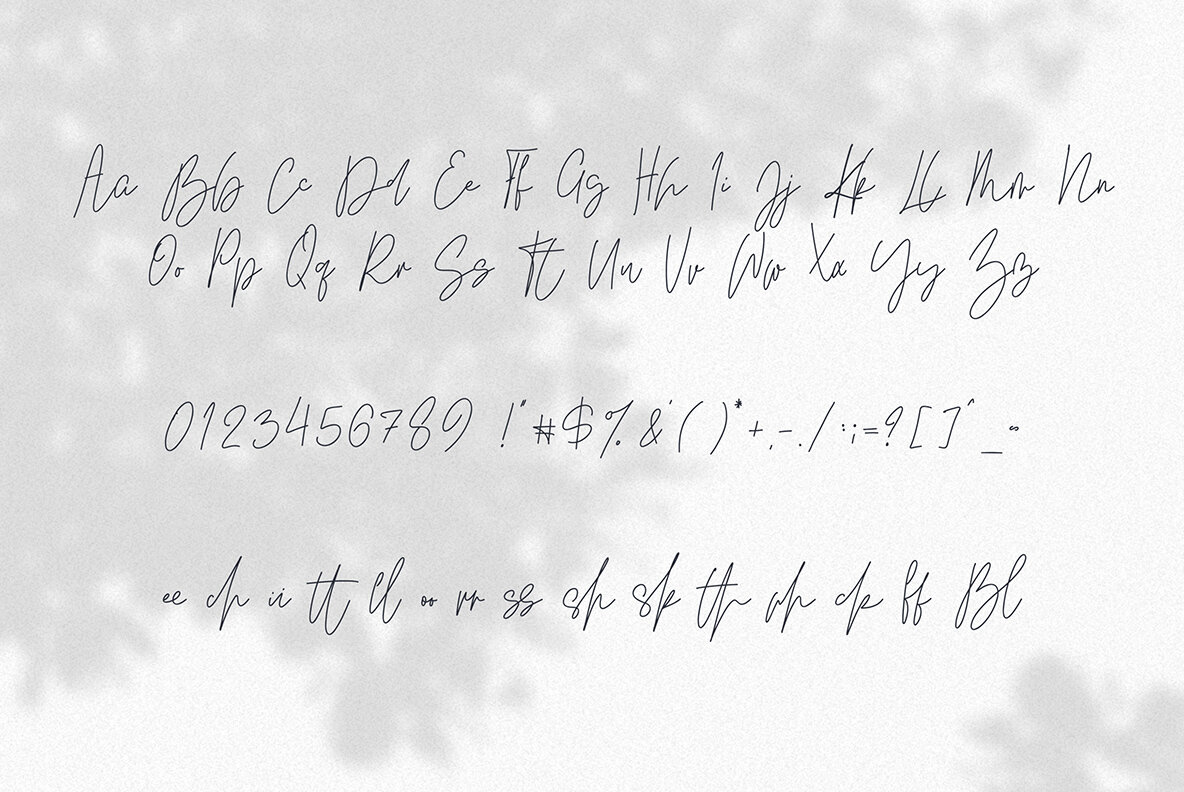 Kindel Script 8