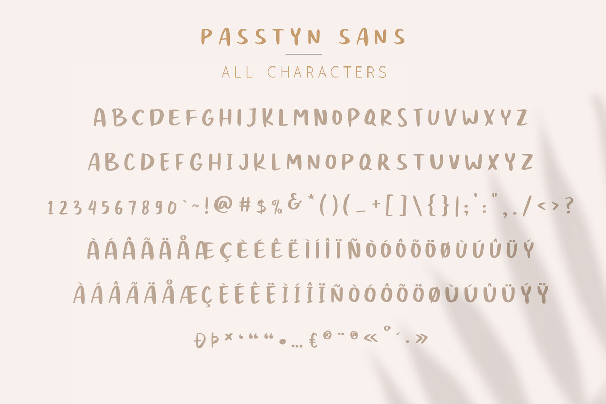 Passtyn Font Duo 10