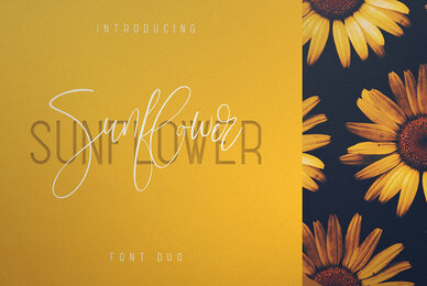 Sunflower Font Duo
