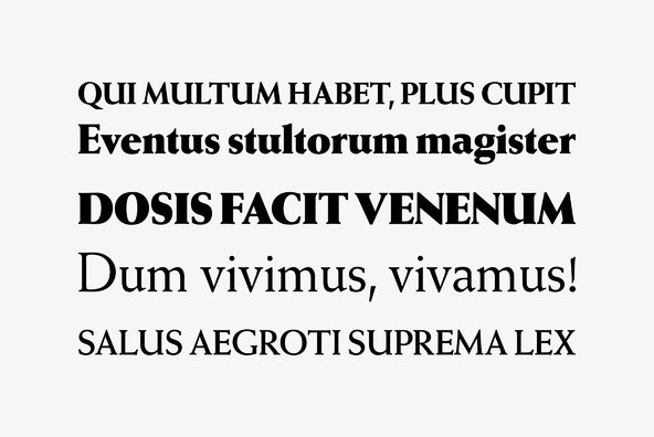 Weiss Antiqua Weiss Antiqua