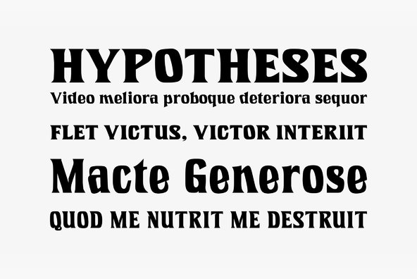 Introspect Introspect