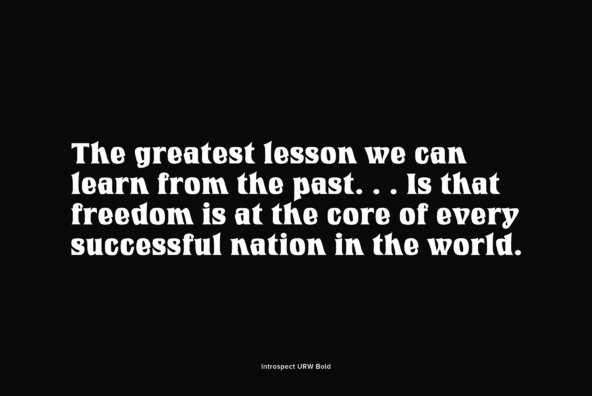 Introspect Introspect
