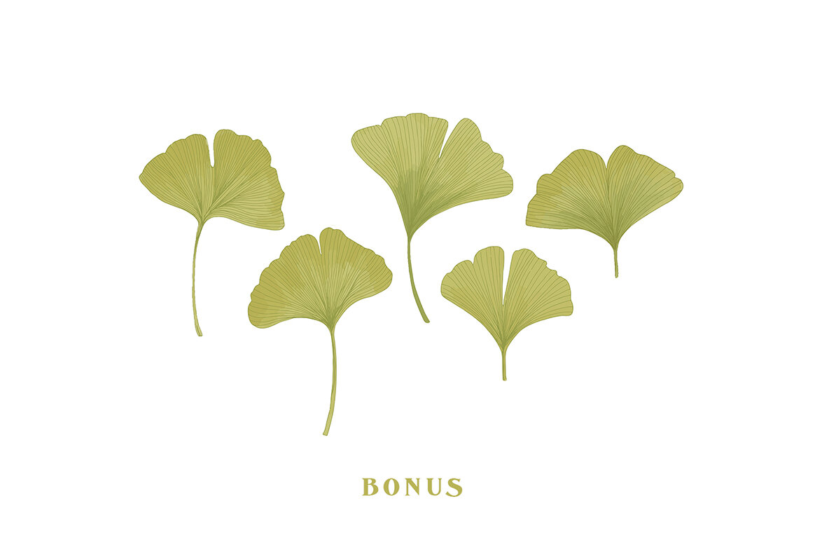 De Ginkgo 15