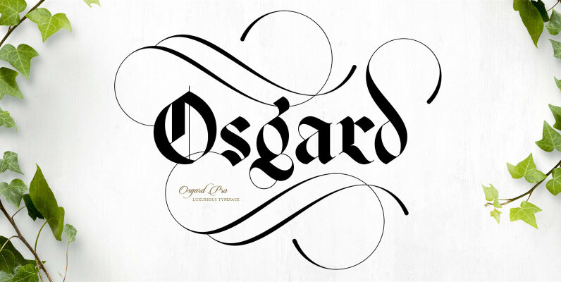Osgard Pro