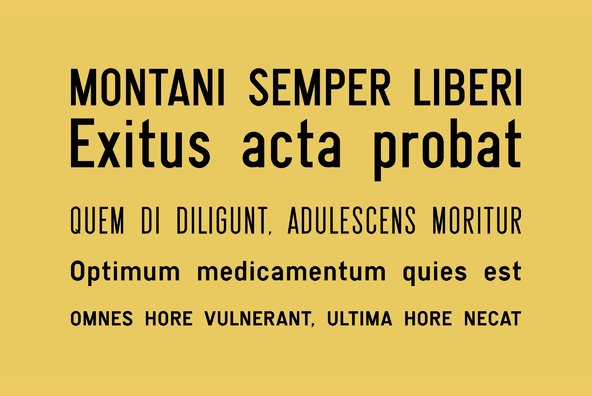 Snv Snv