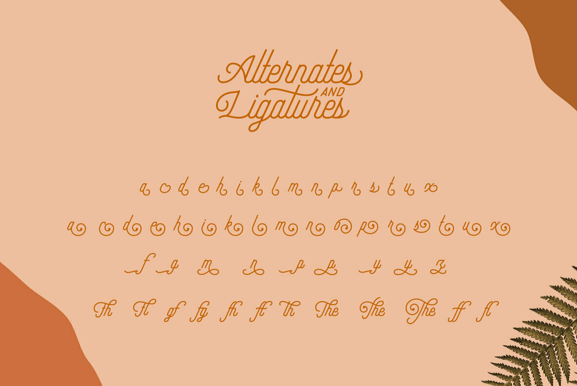 Hipster Script and Sans Hipster Script and Sans