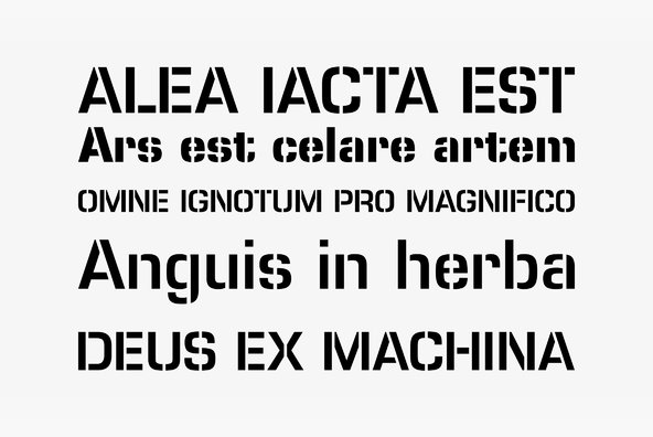 Marin Marin