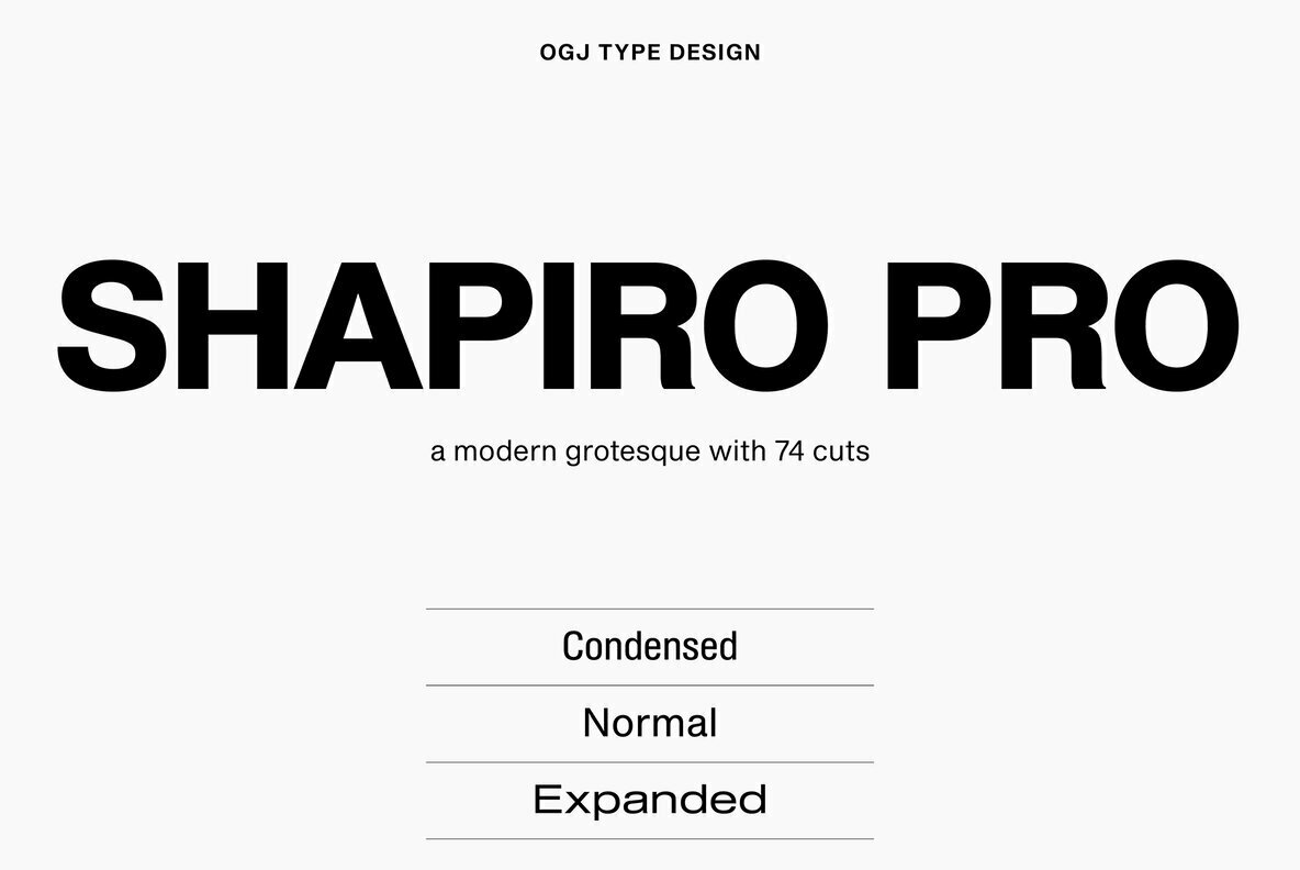Shapiro Pro Shapiro Pro