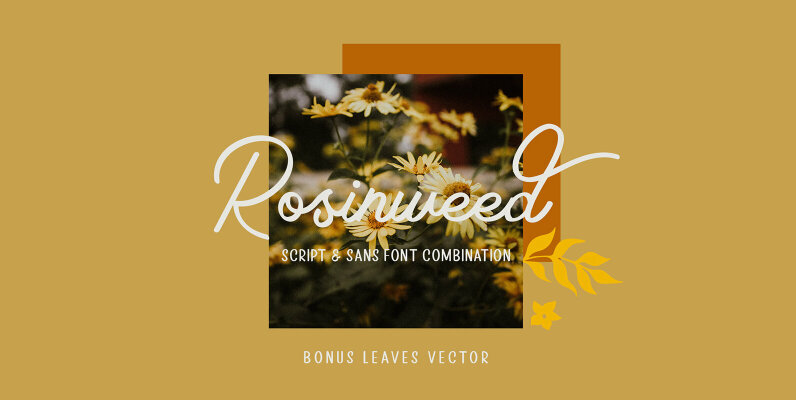 Rosinweed Font Duo