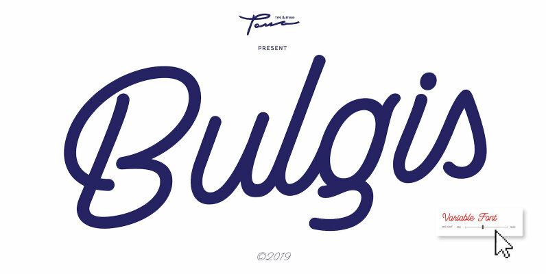 Bulgis Script
