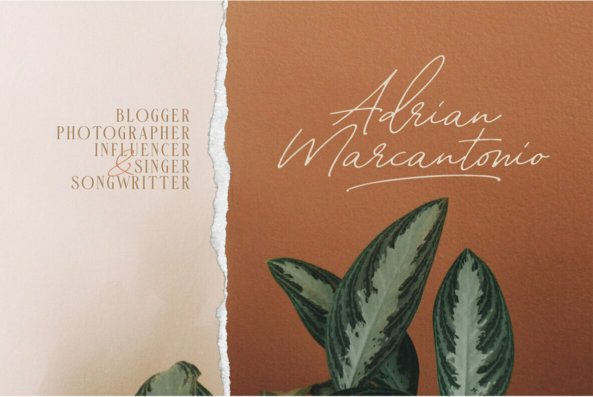 William Letter Font Duo William Letter Font Duo