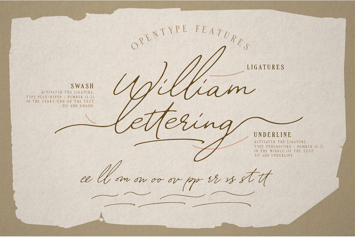 William Letter Font Duo William Letter Font Duo