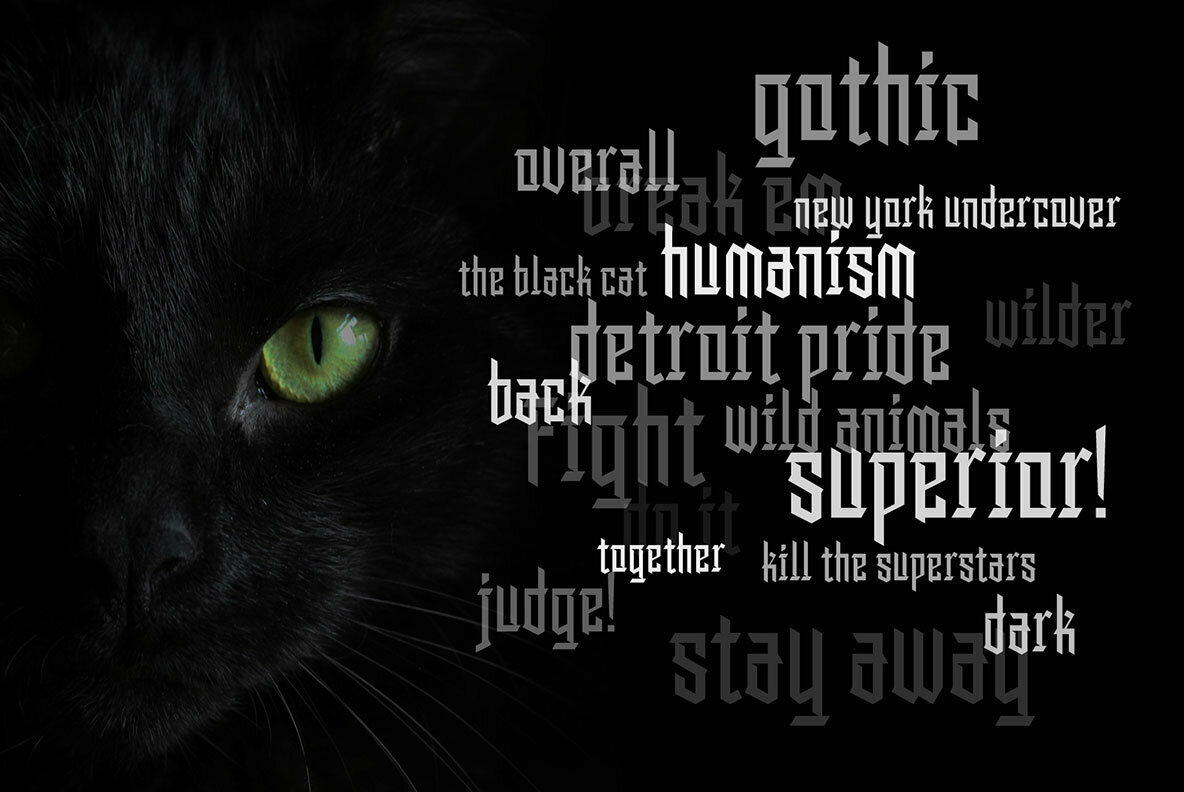 The Black Sugare The Black Sugare