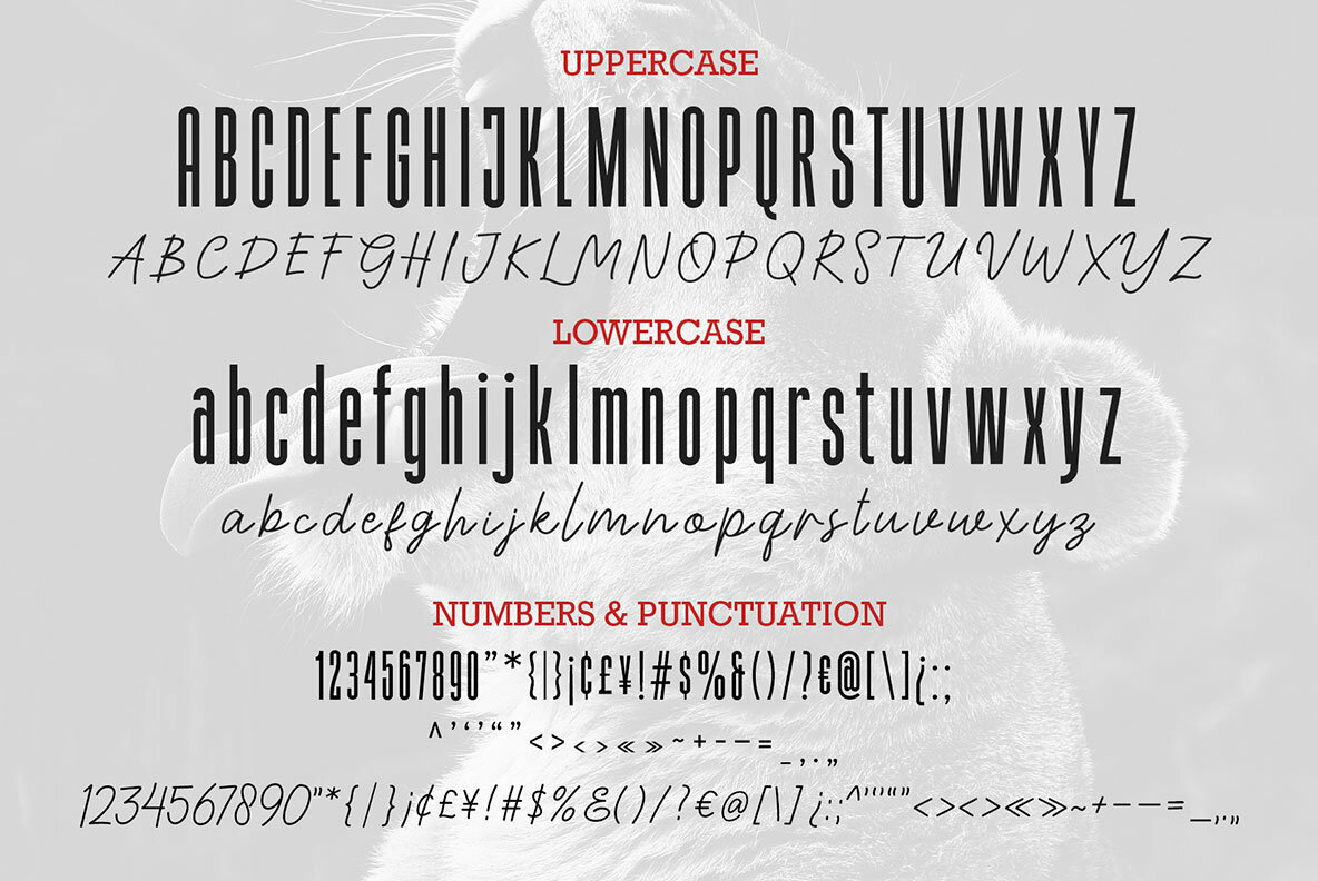 Highrush Font Duo Highrush Font Duo