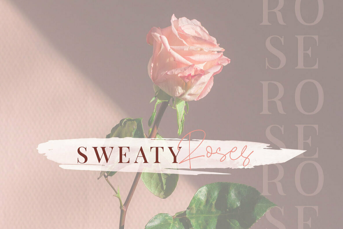 Boulders Beach Font Duo 3