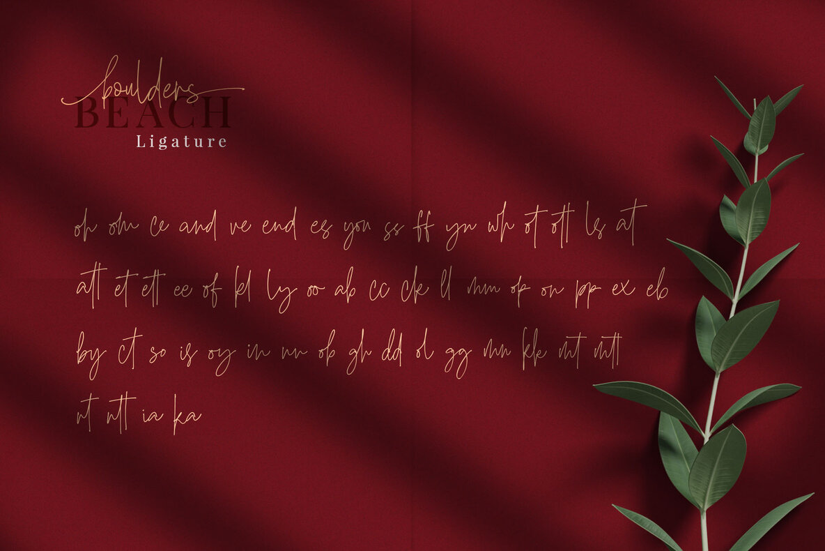 Boulders Beach Font Duo 16