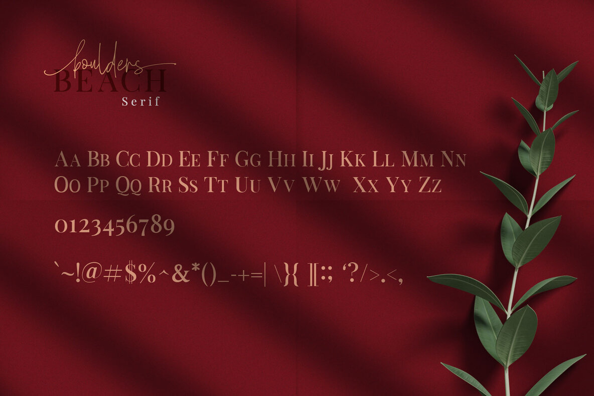 Boulders Beach Font Duo 17