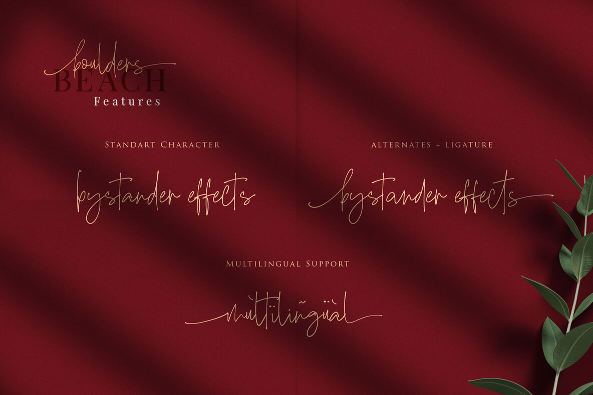 Boulders Beach Font Duo 18