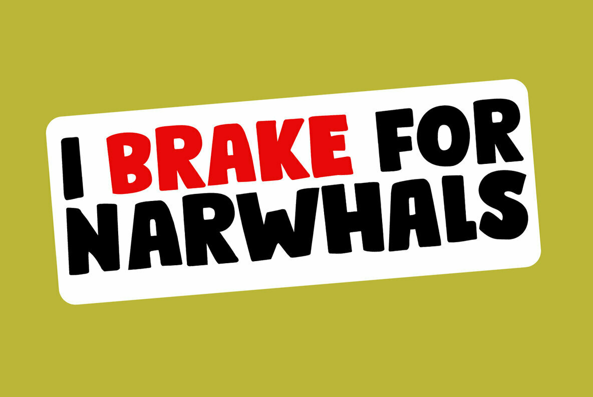 Bumper Sticker Bumper Sticker