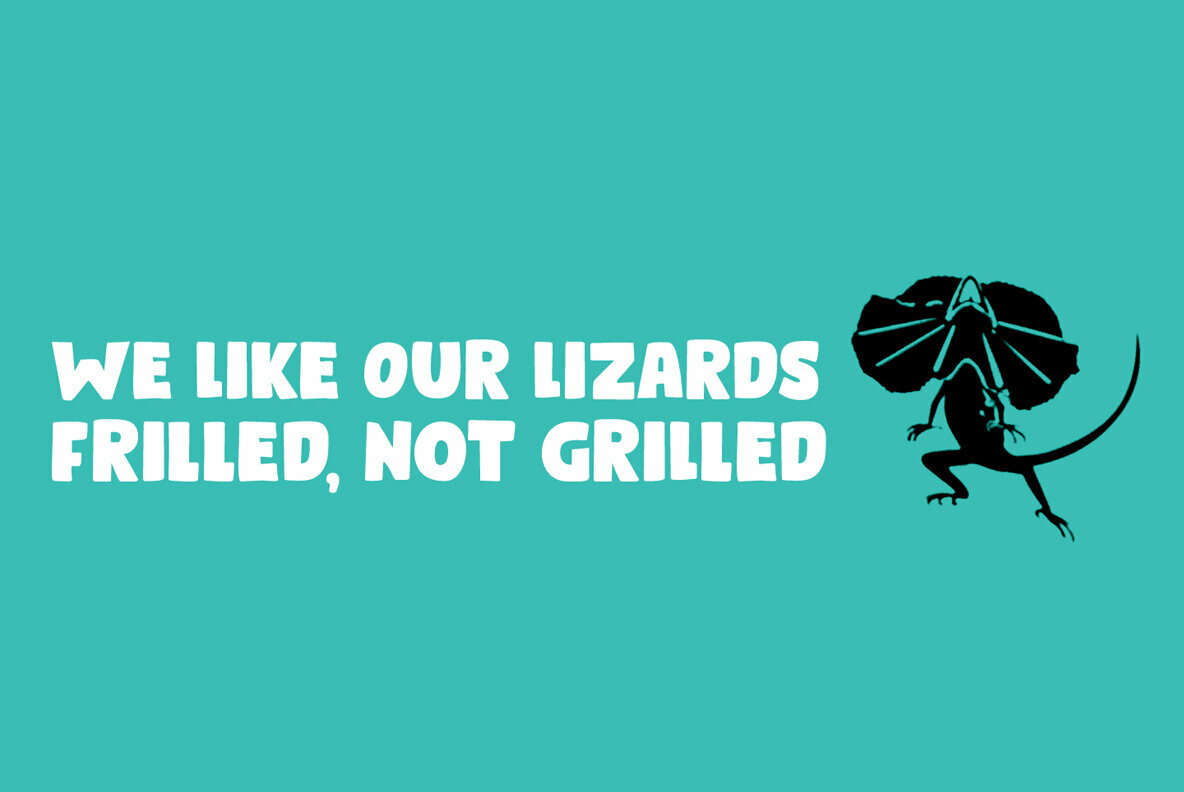 Bumper Sticker Bumper Sticker