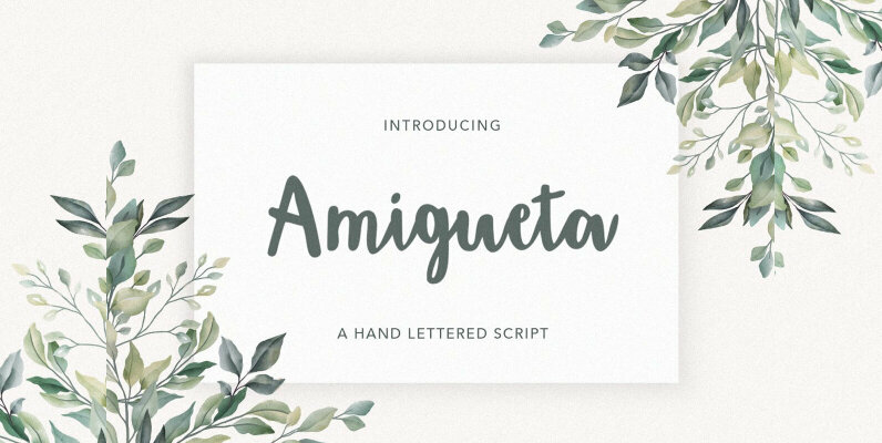 Amigueta Script