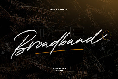 The Broadband   SVG Font