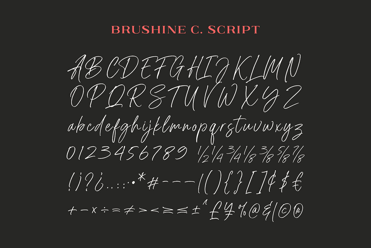 Brushine Collective 13