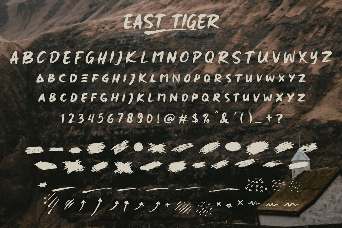 East Tiger East Tiger
