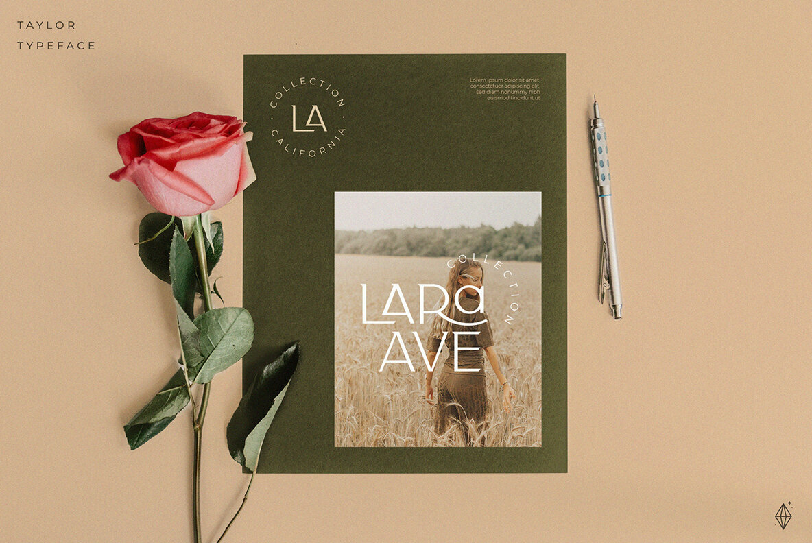 Taylor Typeface Taylor Typeface