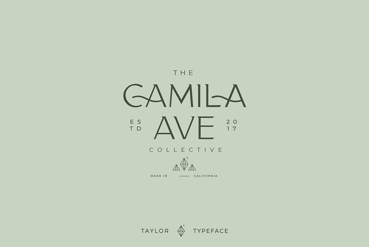 Taylor Typeface Taylor Typeface