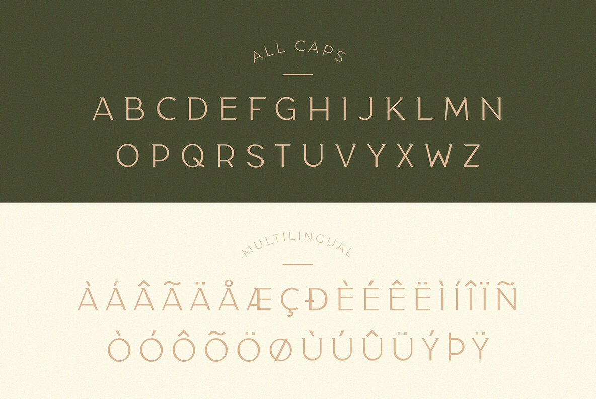 Taylor Typeface Taylor Typeface