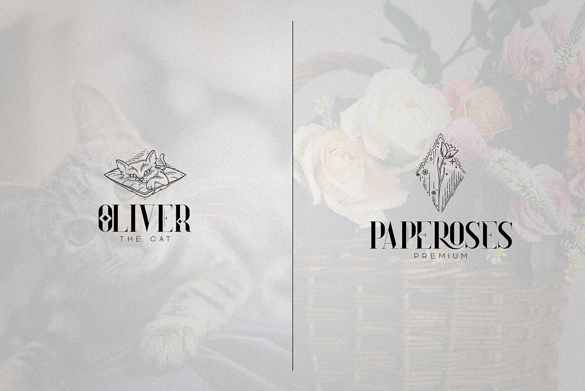 Daylight Dreams and Extras 11