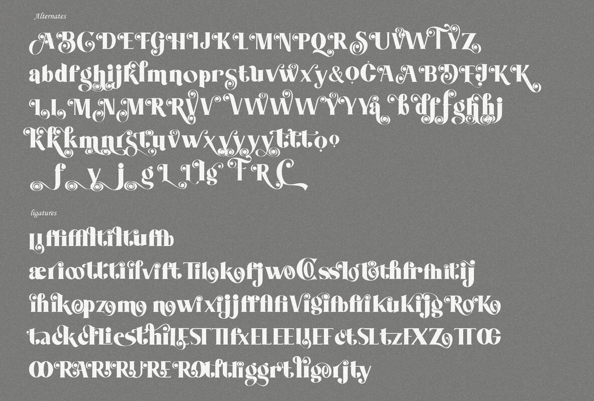 Monolog Typeface 11