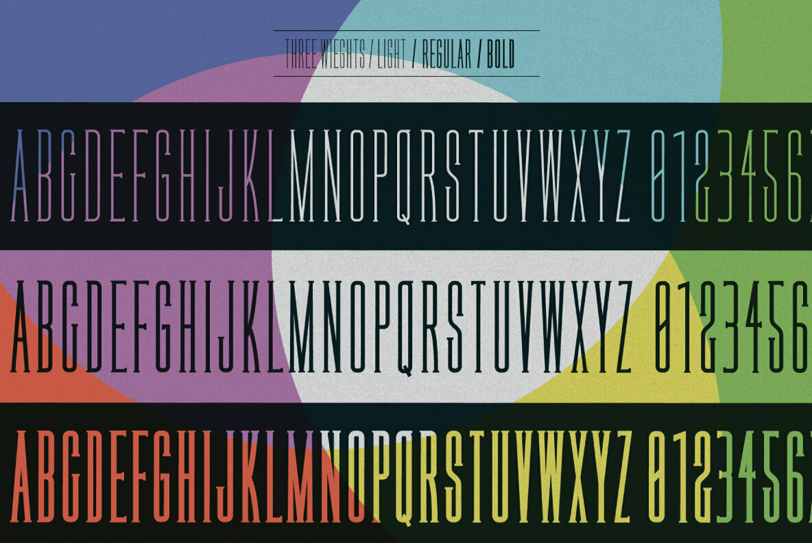 Legal Obligation Serif 4